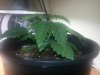20130413_123408.jpg