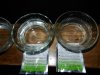 DSCN0914.jpg