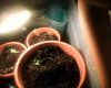Snapshot_20130414_14.jpg