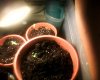 Snapshot_20130414_15.jpg