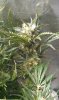 IMAG0857.jpg