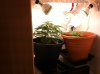 photo 3 (2).JPG