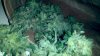 2013-04-17_22-21-06_590.jpg