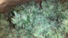 2013-04-17_22-21-48_3.jpg