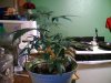 Picture0001.jpg