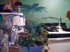 Picture0003.jpg