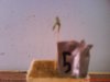 Picture 013.jpg