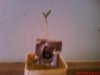 Picture 014.jpg