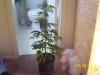 100_0472.jpg