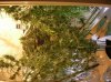DSCN1022.jpg