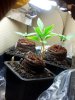 20120822_122041.jpg