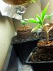 20120823_002958.jpg