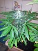 20120928_002452.jpg