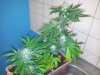 20121010_093514.jpg