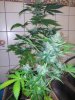 20121010_093553.jpg