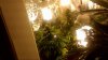 Snapshot_20130418_7.jpg