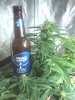 Picture0419131129_3.jpg