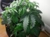 20130420_194307.jpg