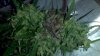 2013-04-21_14-43-56_291.jpg