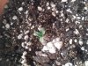 CYMERA_20130421_100159.jpg