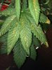 IMG_0164.jpg