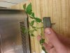 20130423_151032.jpg 20130423_151032.jpg