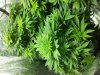 20130423_191220.jpg