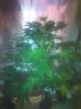 IMG_0630.jpg IMG_0630.jpg