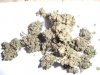 cinnamon kush.jpg
