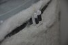 DSC_0309.jpg