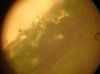 DSCN1042.jpg