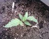 Photo0187.jpg