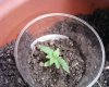 Photo0189.jpg
