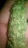 IMAG0407.jpg