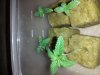 20130428_211314.jpg