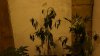 DSC04932.jpg