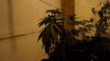 DSC04934.jpg