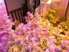 DSCN1592.jpg