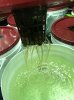 Hydro Roots 1.jpg