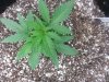 20130502_111801.jpg