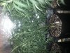 IMG_20130503_141807.jpg