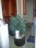 IMG_20130503_141754.jpg