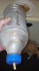 IMG_20130501_170316_291.jpg