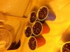 20130505_003038.jpg