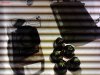 IMG20130506211535.jpg