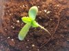 20121030_210647.jpg