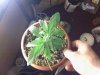 CameraZOOM-20130401193708220.jpg