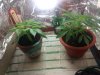 2013-05-07 12.16.13.jpg