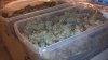 2013-04-17_19-29-02_218.jpg