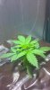 2013-05-08_10-21-09_726.jpg 2013-05-08_10-21-09_726.jpg
